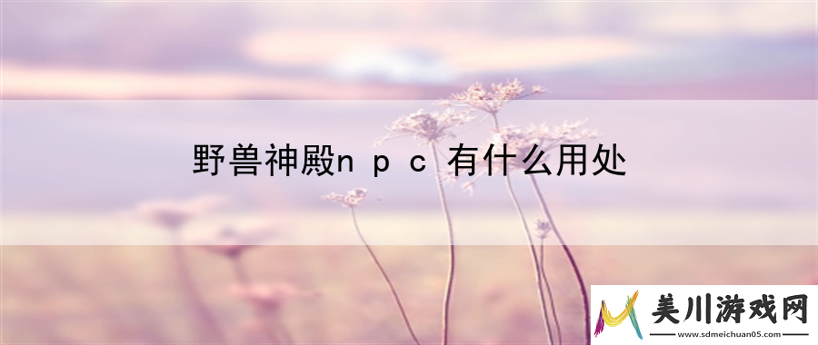 野兽神殿npc有什么用处