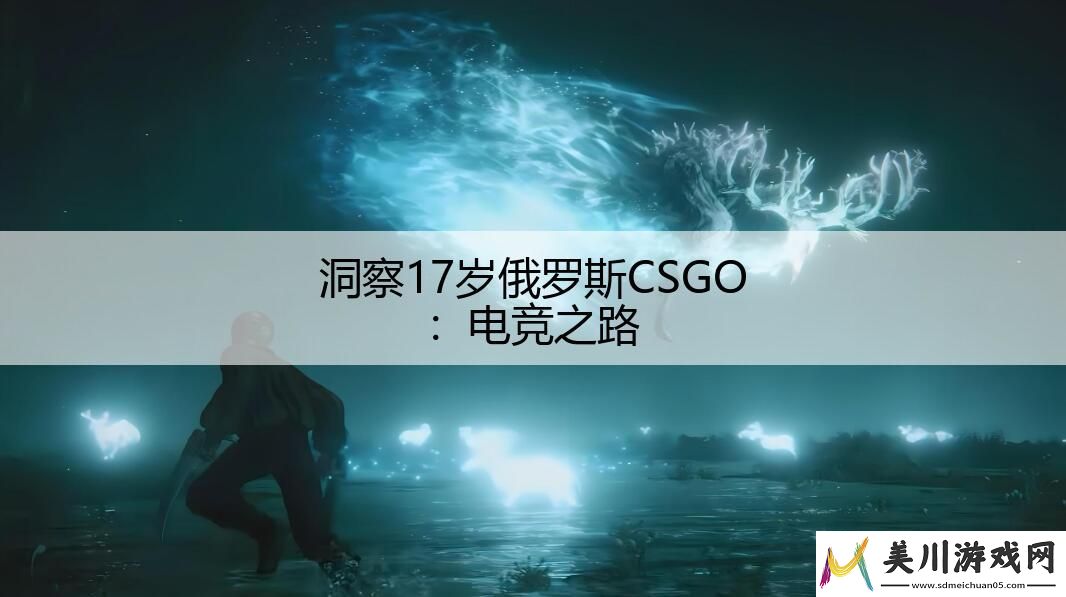 洞察17岁俄罗斯csgo