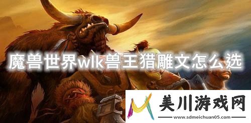 魔兽世界wlk兽王猎雕文怎么选